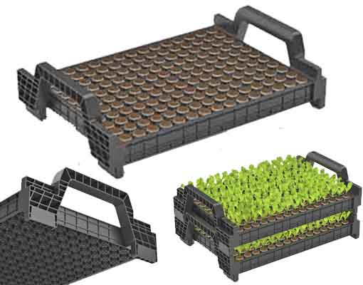 165S64L Ellepot Lettuce Airtray