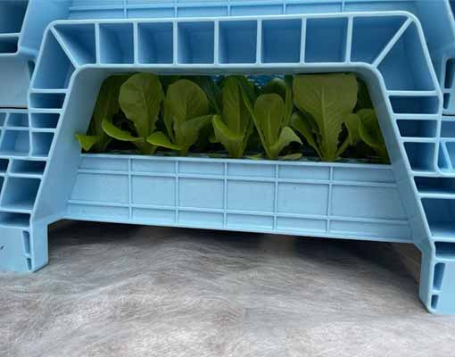 510X400 165S64L Ellepot Lettuce Air Tray