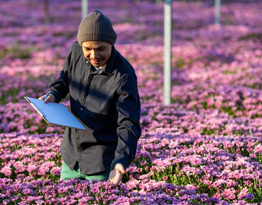 510X400 Ellepot Propagation Cut Flowers