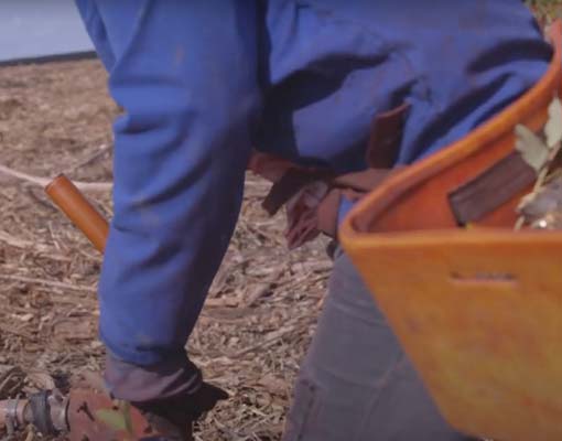 510X400 Ellepot Paper Faster Planting