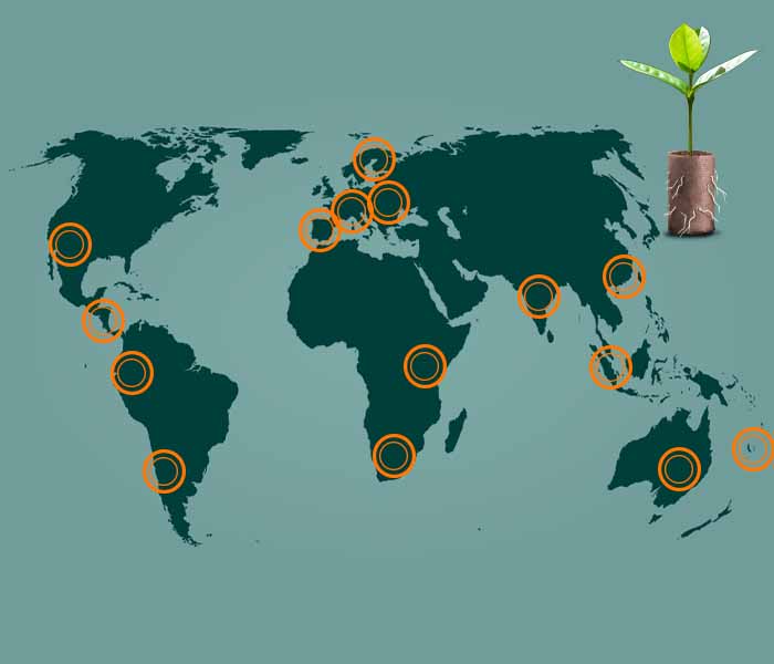 700X600 Ellepot Partners