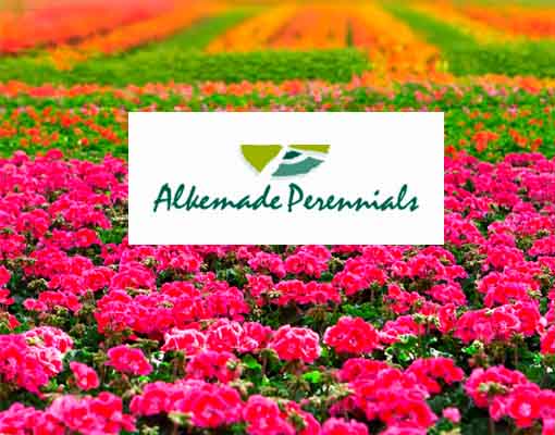 510X400 Ellepot Client Gebr. Alkemade B.V