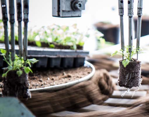 ELLEPOT integrated propagation system consists of specially designed machines, propagation trays and unique papers and membranes for paper pots.