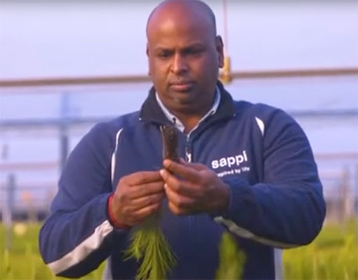 510X400 Ellepot South Africa Customer Sappi Explains The Value Of The Ellepot System In Their Operations